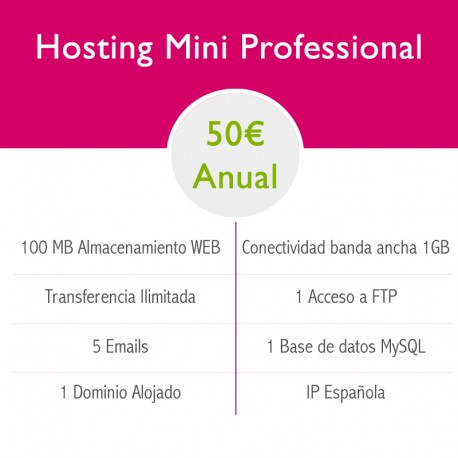 Hosting Profesional