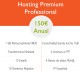 Hosting Profesional